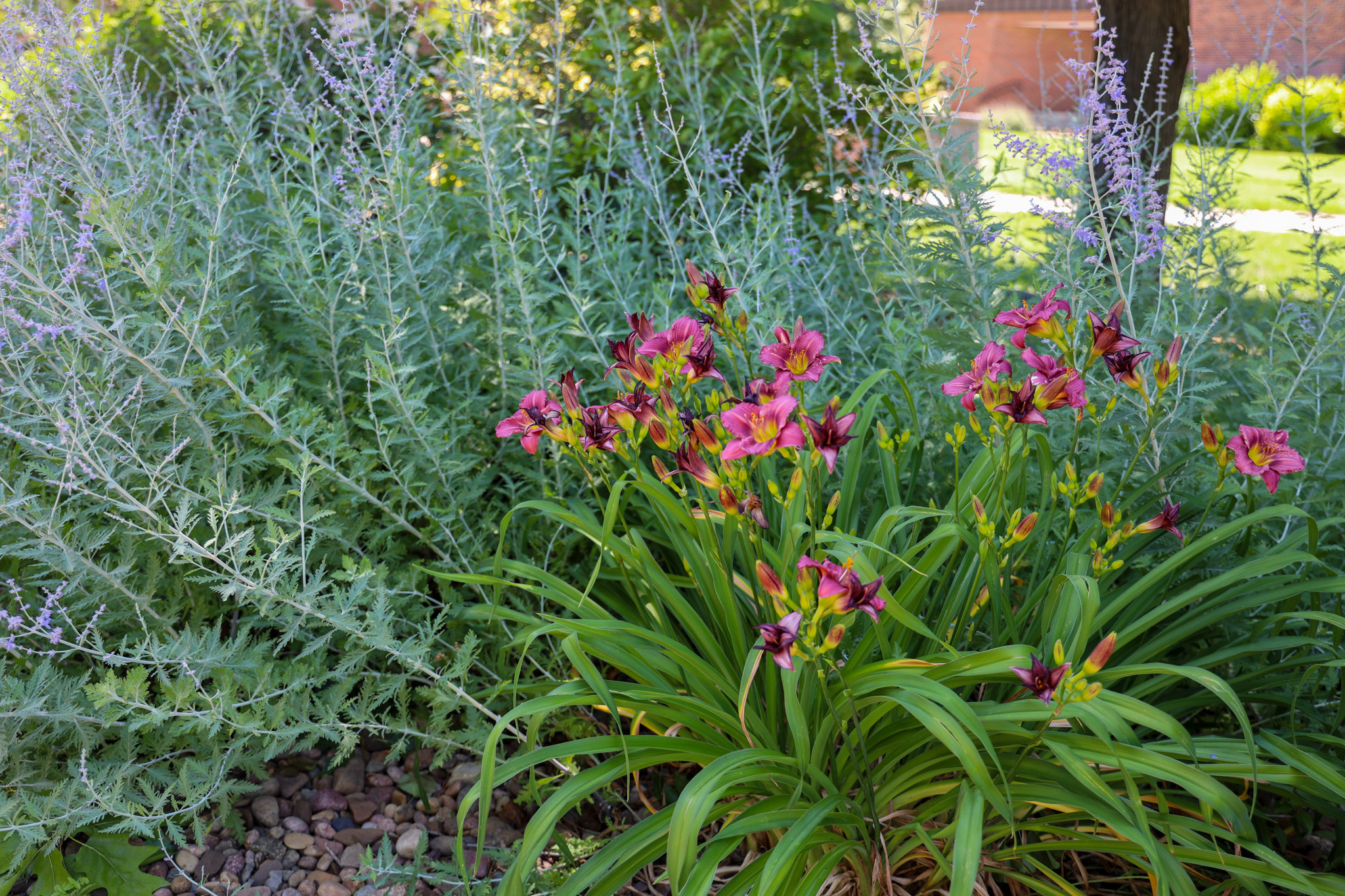Flowers with greenery around/behind