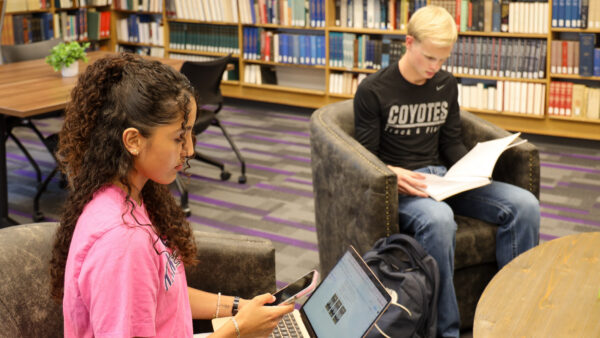 Students studying in library