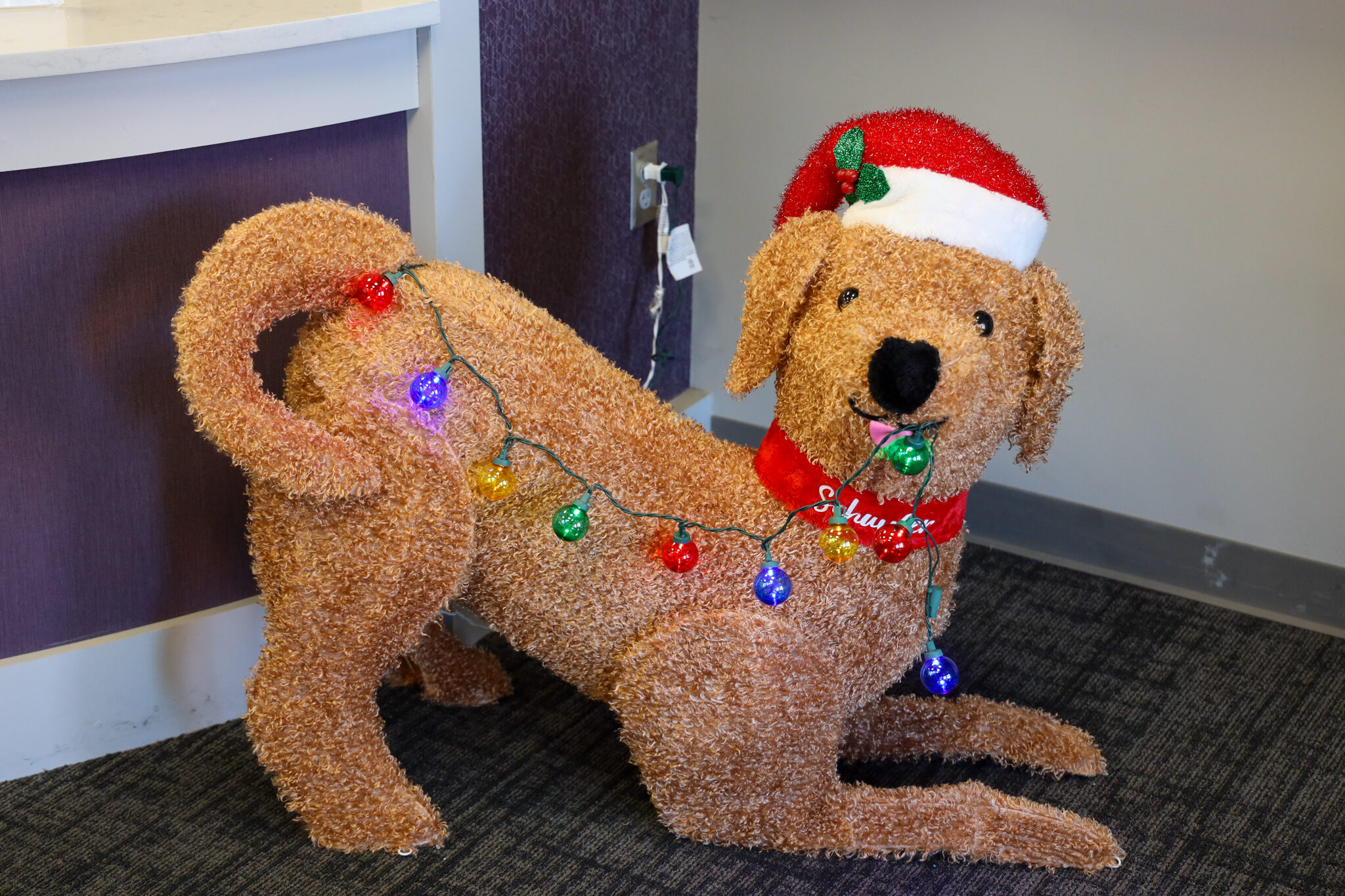 Stuffed dog with lights