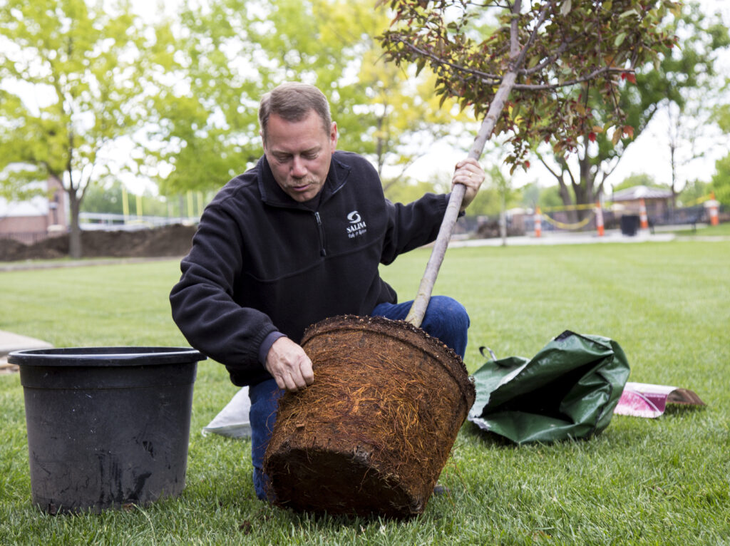 Man planting tree