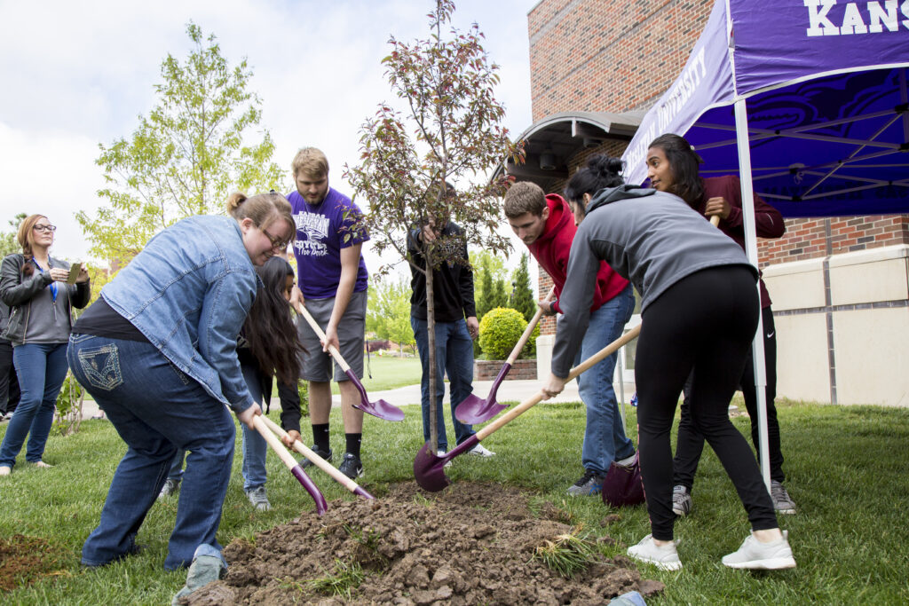 People planting trees