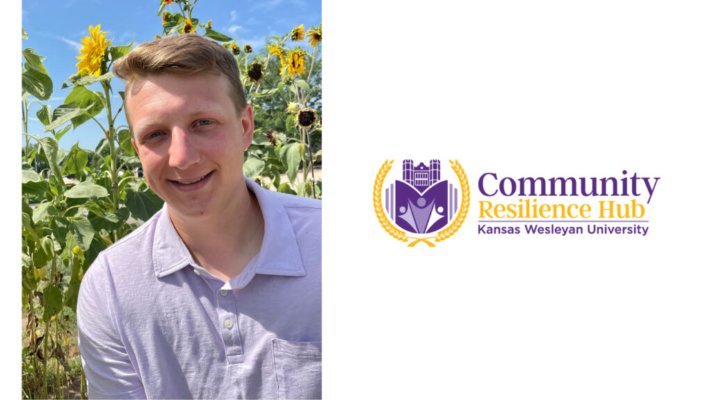 Split graphic - man in front of sunflowers and logo