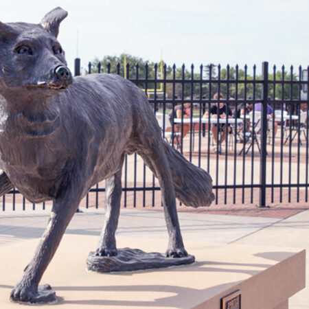 Coyote statue